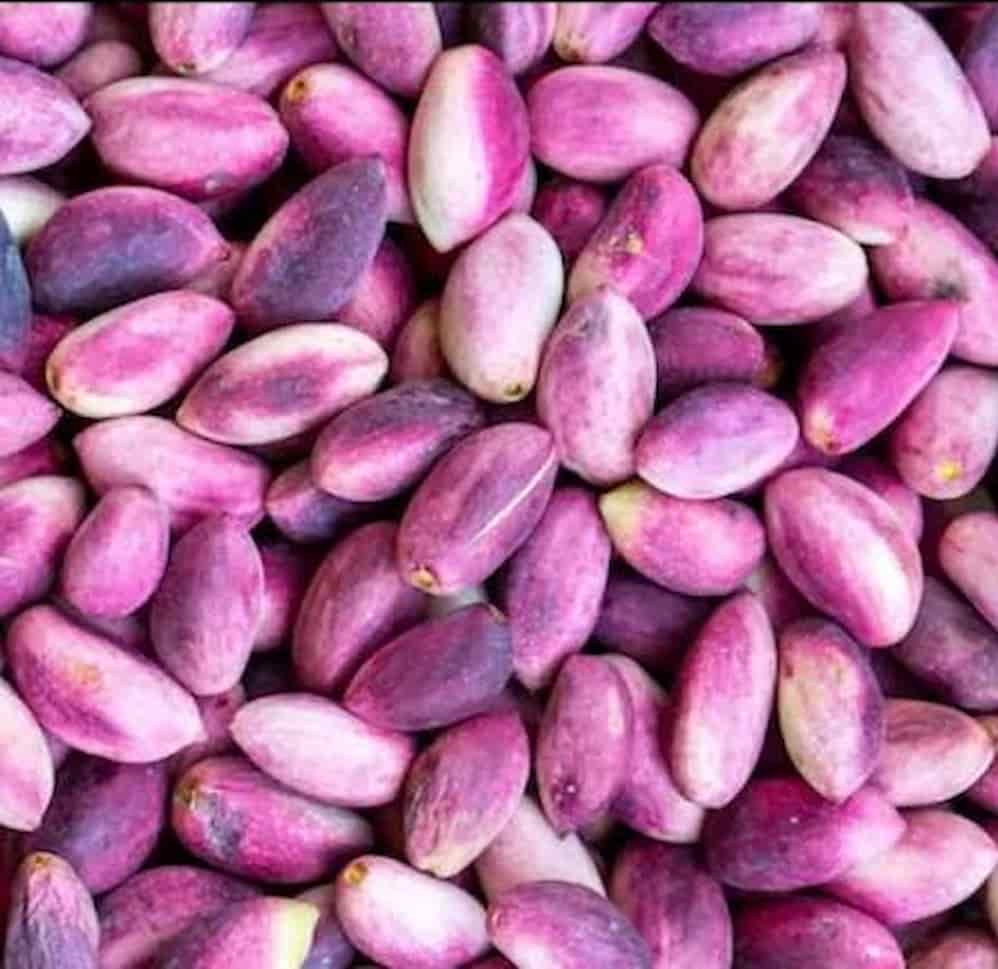 پسته تازه